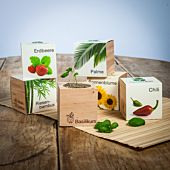 Ecocube - Maceta en madera
