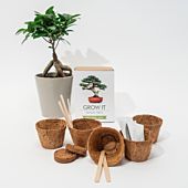 Bonsáis Grow It