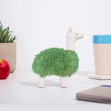 La Llama Verde